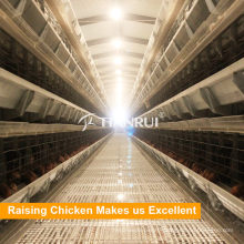Tianrui Poultry Farming Equipment Chicken Poultry Cage